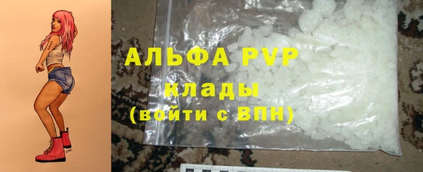 хмурый Белокуриха