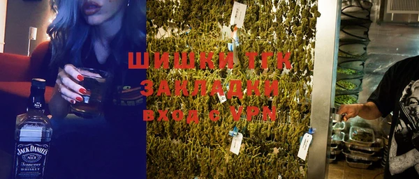хмурый Семилуки