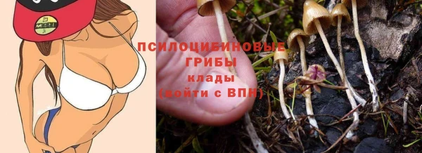 apvp Белоозёрский