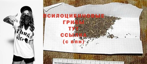 хмурый Балахна