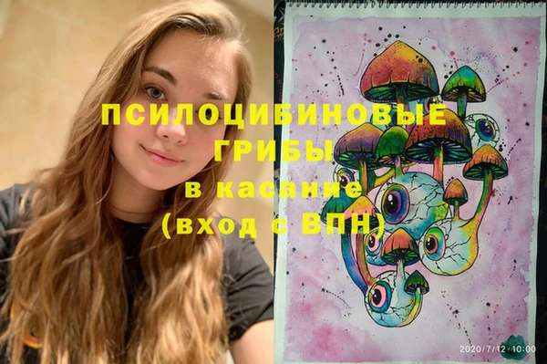 хмурый Белокуриха