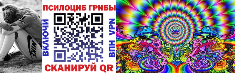 omg   Красный Холм  маркетплейс клад  Псилоцибиновые грибы мухоморы 